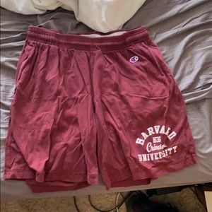Harvard University Champion Shorts